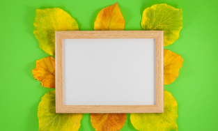 Jayalakshmi Printers, Hassan